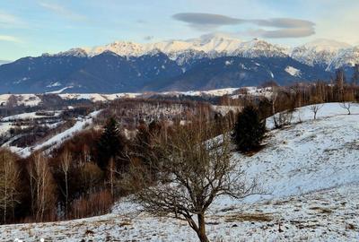 Teren de 4008 mp, în Moieciu - 2