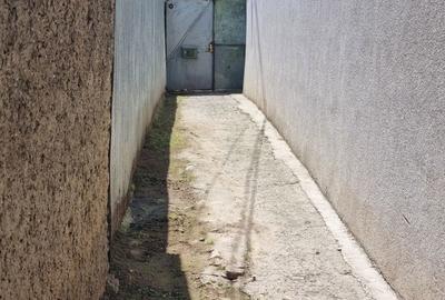Casă cu 3 camere în Nicolae Bălcescu - 2