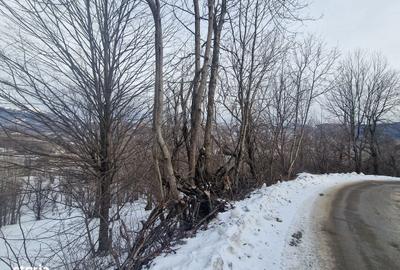 Teren de 12000 mp, în Ghioșești - 2