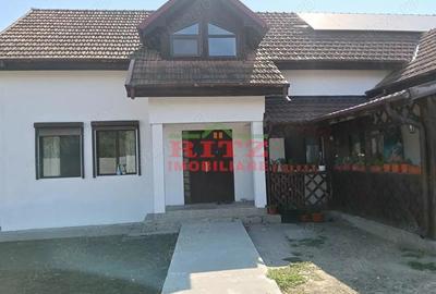 CASA SI SPATIU COM.DANEASA-PESTRA - 1