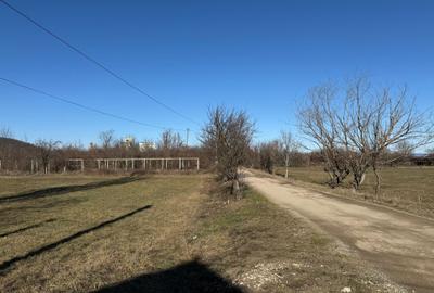 Teren de vânzare în Codlea - 4