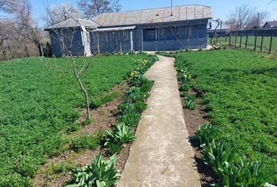 Casă cu 4 camere în Băceni - 5