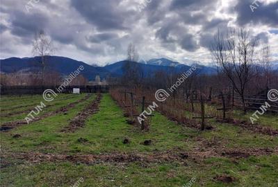Teren intravilan 2060 mp de in Avrig zona Valea Avrigului - 2