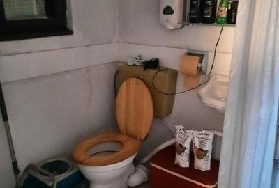 Casa Com. Cocorastii Colt-Sat Persunari-Jud.Prahova - 17