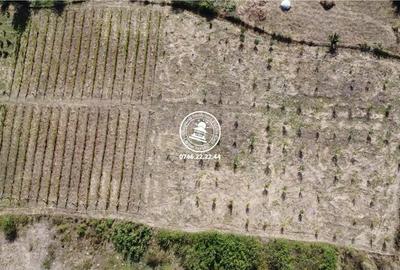 Teren de 6800 mp, în Mogoșești - 10