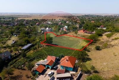 Teren Construcții intravilan de 4184 mp, în Miniș - 9