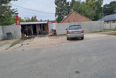 Teren de 4150 mp, în Icoana - 3
