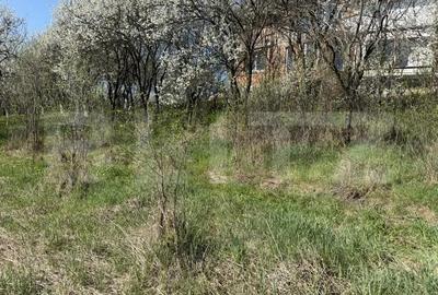 Teren de 2743 mp, în Crișeni - 1