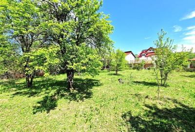 VANZARE TEREN 2800 MP. + CONSTRUCTIE BRANSATA LA UTILITATI - CORNU DE JOS - 2