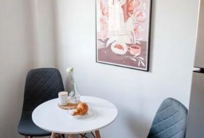 Apartament 2 camere Lux langa Piata Victoriei - 3