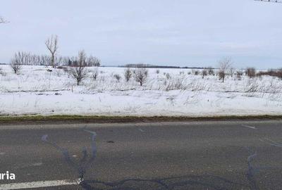 Teren de 2500 mp, în Frumușani - 3