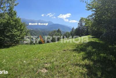 Teren de 3296 mp, în Bran - 3