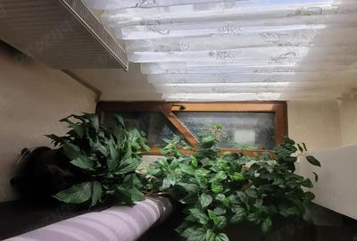 Apartament cu 3 camere semidecomandat în Nord - 1