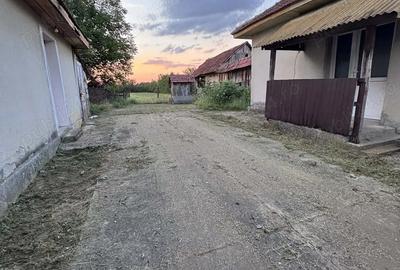 Vand casa 3 camere plus anexa - 5