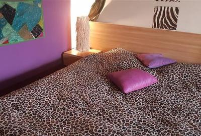 FILM! In Bohemian Style, loc parcare, curte proprie,vedere panoramica, Cartiieru - 50