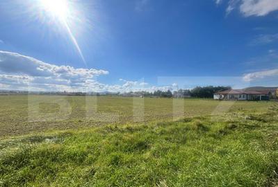 Teren Extravilan in Apropiere de Jelna 25.800 mp, cu Ut - 1