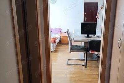 Apartament cu 2 camere semidecomandat în Bălcescu - 3