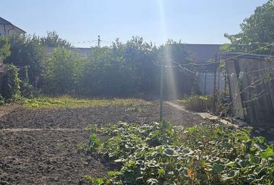 Casă cu 3 camere cu Teren 748 Mp în Palazu Mare - 4