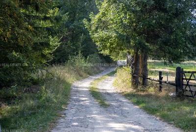 Teren de 10131 mp, în Sohodol - 2