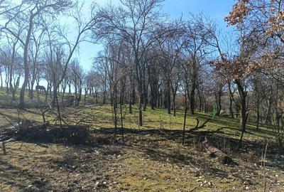 Casă cu 3 camere cu Teren 1565 Mp în Sângătin - 8