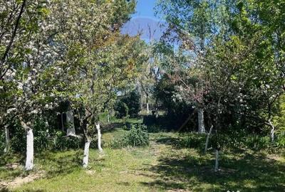 Casă cu 4 camere cu Teren 959 Mp în Lăzăreni - 4