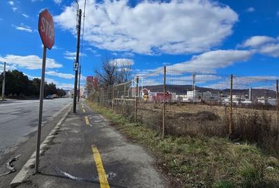 Teren Construcții intravilan de 4019 mp, în Est - 8