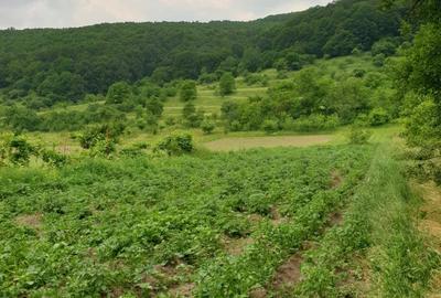 Casă cu 2 camere în Rugășești - 6