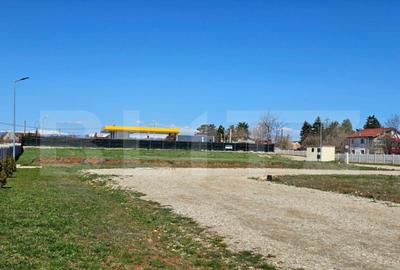 Teren intravilan destinatie construire, Targoviste Vest - Ca - 4