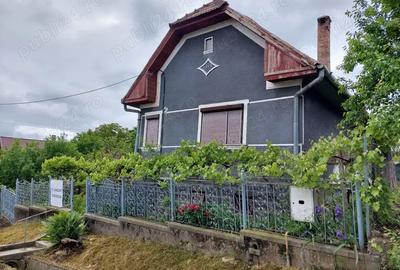 Casă cu 2 camere în Moldovenești - 3