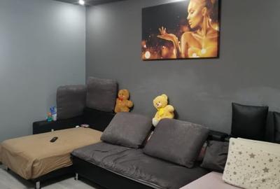 Garsoniera Brazda, 33mp, renovata recent - 4