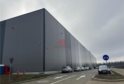 Depozit/hala/spatiu industrial Theodor Pallady - Cernica - - 12