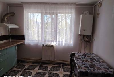 Garsonieră decomandată în Lacu - 4