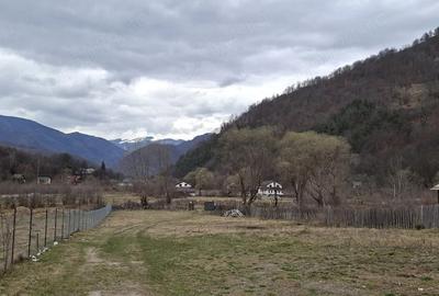 Teren de 1000 mp, în Malaia - 4