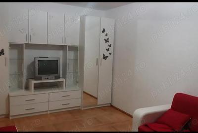 Garsonieră semidecomandată în Micălaca - 5