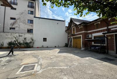 Vanzare vila Gradina Icoanei - Dacia - curte, casa de oaspeti - 16