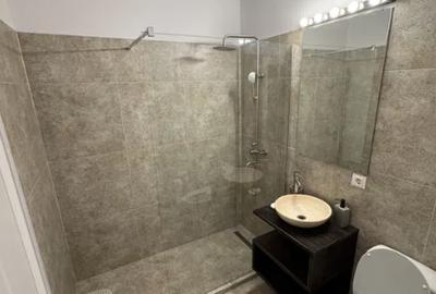 Inchiriere apartament 2 camere Parcul Carol Inchiriere apartament 2 camere Parcul Carol - 5