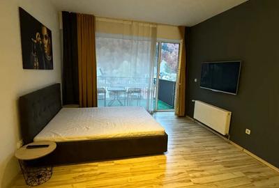 Vand apartament LUX in Sinaia, Complex Belleview - 9