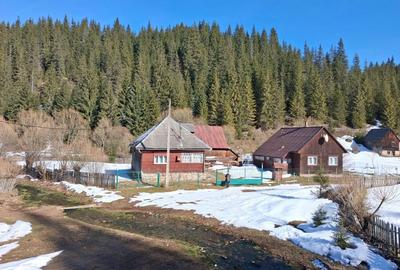 Spațiu comercial, în Poiana Horea - 4