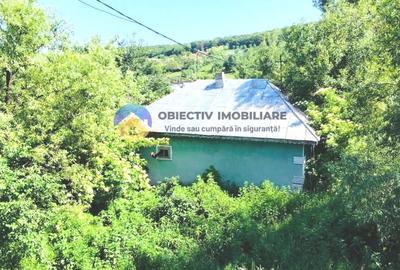 TEREN intravilan + casa  DOBRENI - SARATA - 1