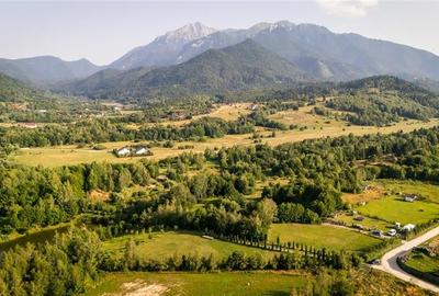 FILM! Oaza paradisiaca cu lac, vedere catre Bucegi, Glajerie/ Rasnov, pretabil C - 16