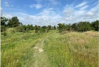 Teren Construcții intravilan de 906 mp, în Sânleani - 5