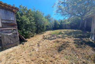 Casă individuală cu 2 camere cu Teren 1435 Mp în Șișterea - 10