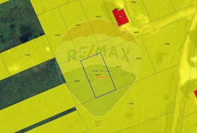 Teren Dezmir, parcela de 500 mp, casa individuala - 3