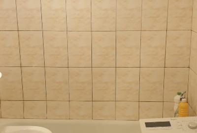 Garsonieră semidecomandată în Astra - 11