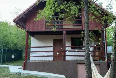 Casă cu 4 camere în Orașu Nou - 4