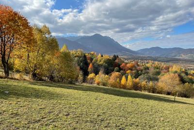 Teren intravilan loturi intre 500 si 1000 m la 14 km de Rasnov - 2