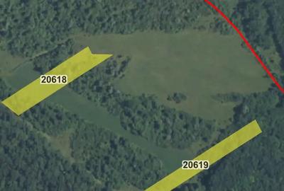 Teren de 12300 mp, în Grebănu - 5