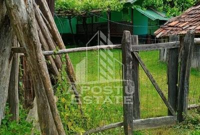 Casa bătrânească de vânzare | 4 camere | Hunedoara | Micănești - 43