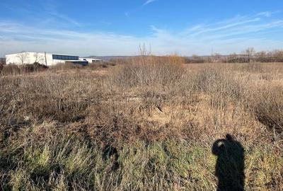 Teren intravilan, Săcădat, 27 921 mp. 9,5 Euro/mp. Comision 0. Teren intravilan, Săcădat, 27 921 mp. 9,5 Euro/mp. Comision 0. - 6