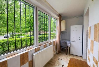 Apartament cu 2 camere decomandat în Mureșeni - 11